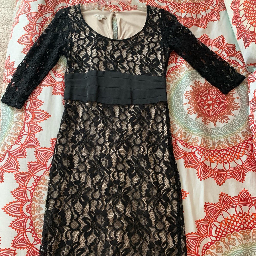 New York & Company Black & Tan lace dress
